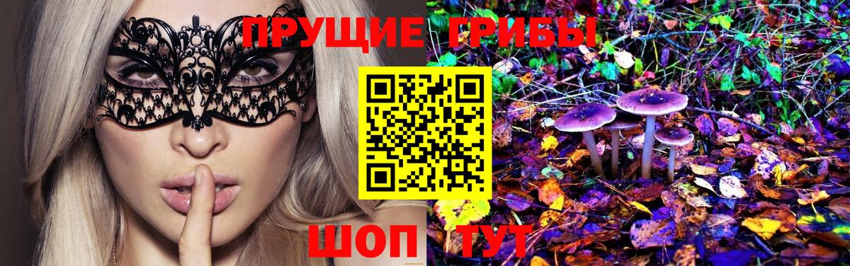 Галлюциногенные грибы GOLDEN TEACHER Советская Гавань