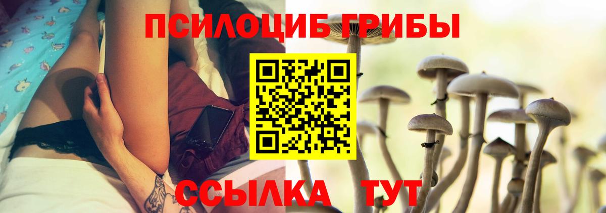 Галлюциногенные грибы GOLDEN TEACHER  Вход с VPN  Советская Гавань  Псилоцибиновые грибы мицелий 